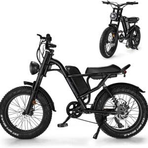 Ealirie 20'' Fat Tire Electric Mountain Bike